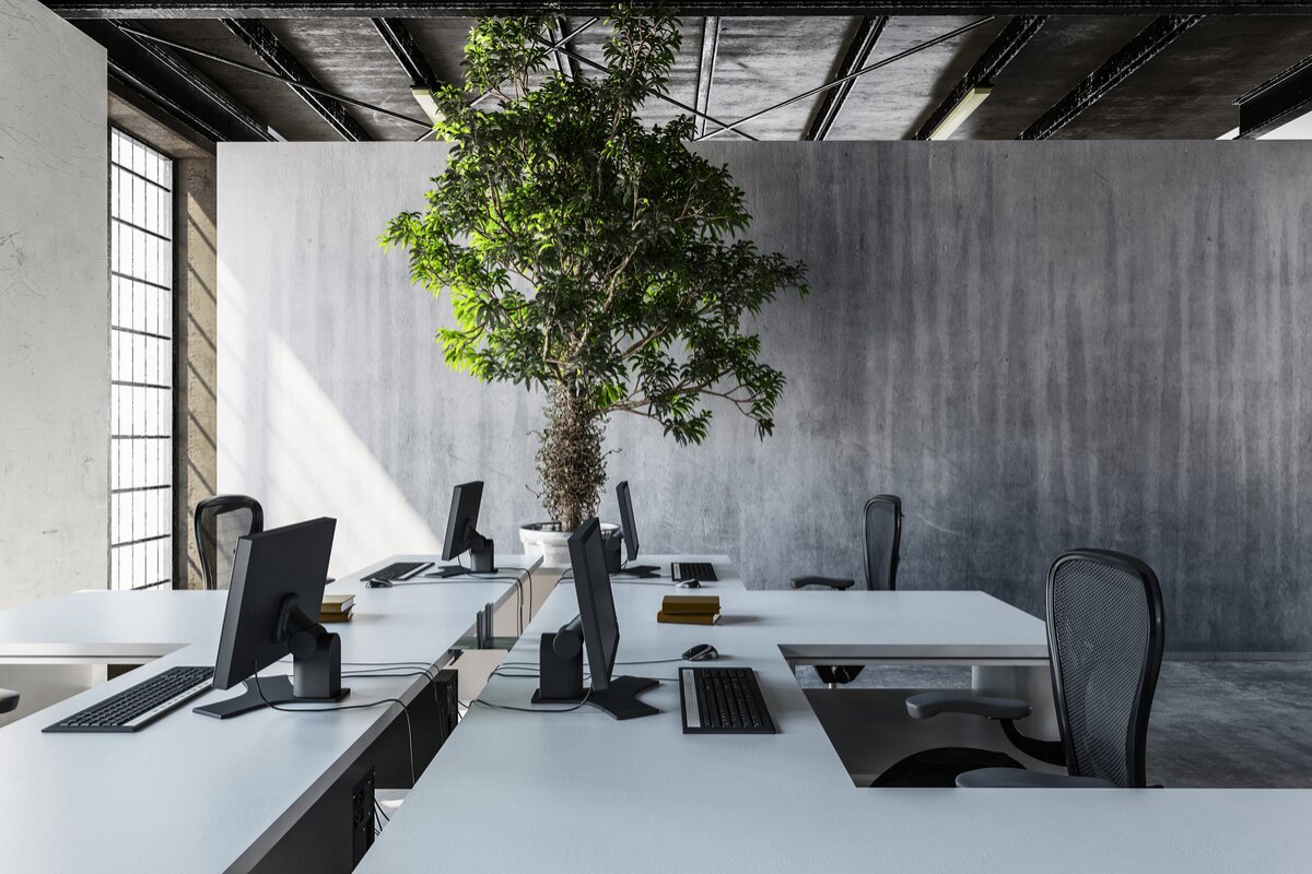 Workplace Wisdom – August 2026 – Legal Updates & Tips for your Business image